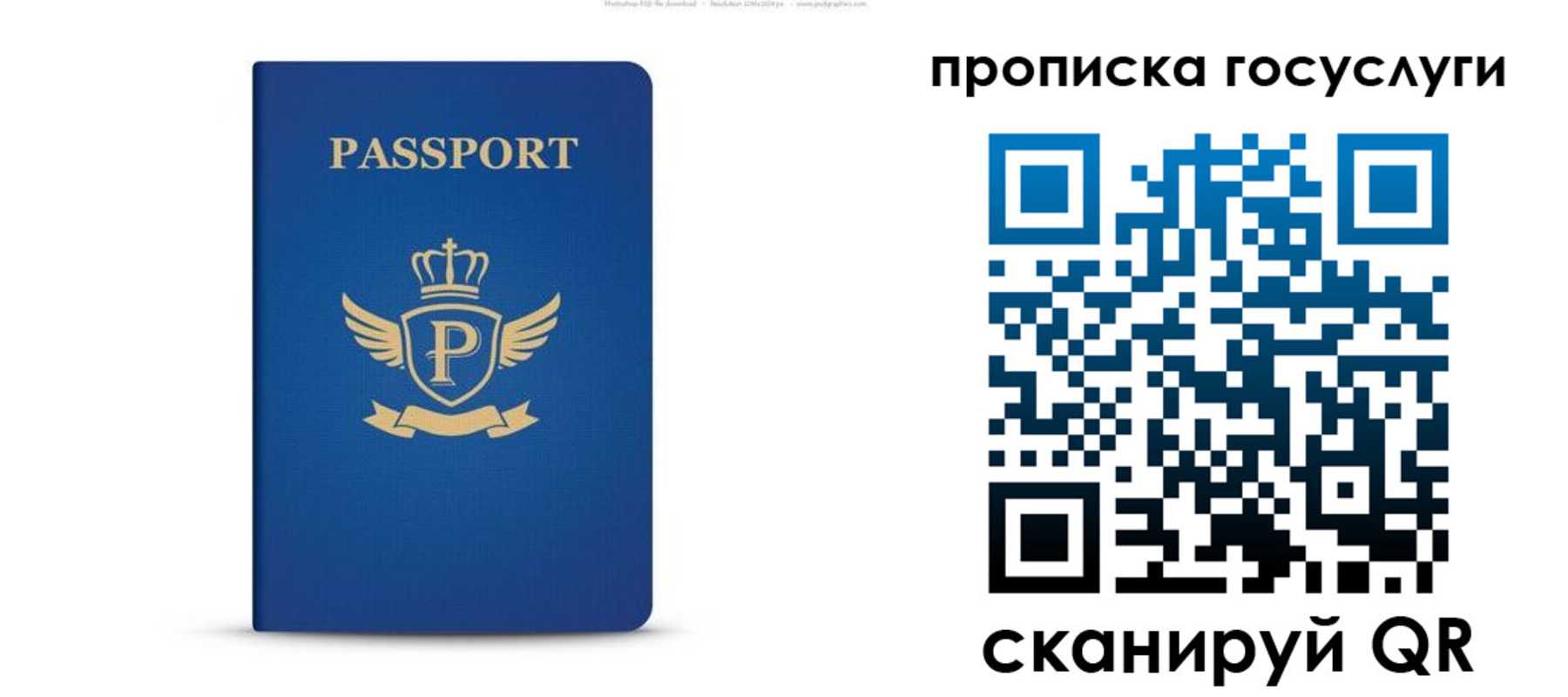 прописка для школы в Коле